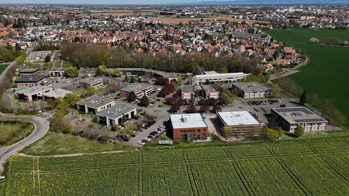 Commerce à OBERHAUSBERGEN