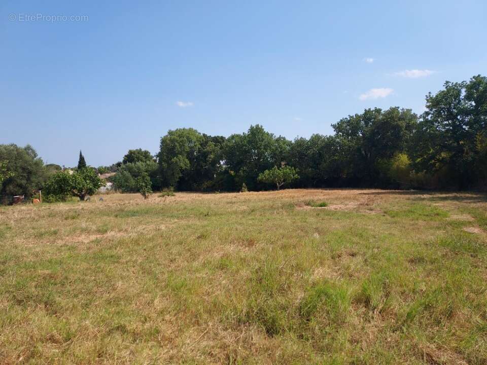 Terrain 610 m² à Puget-Sur-Argens  - photo 4
