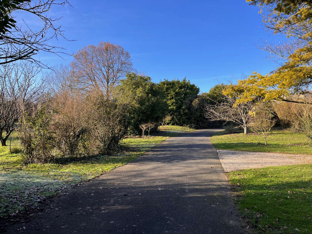 Maison à MONTREUIL-BELLAY