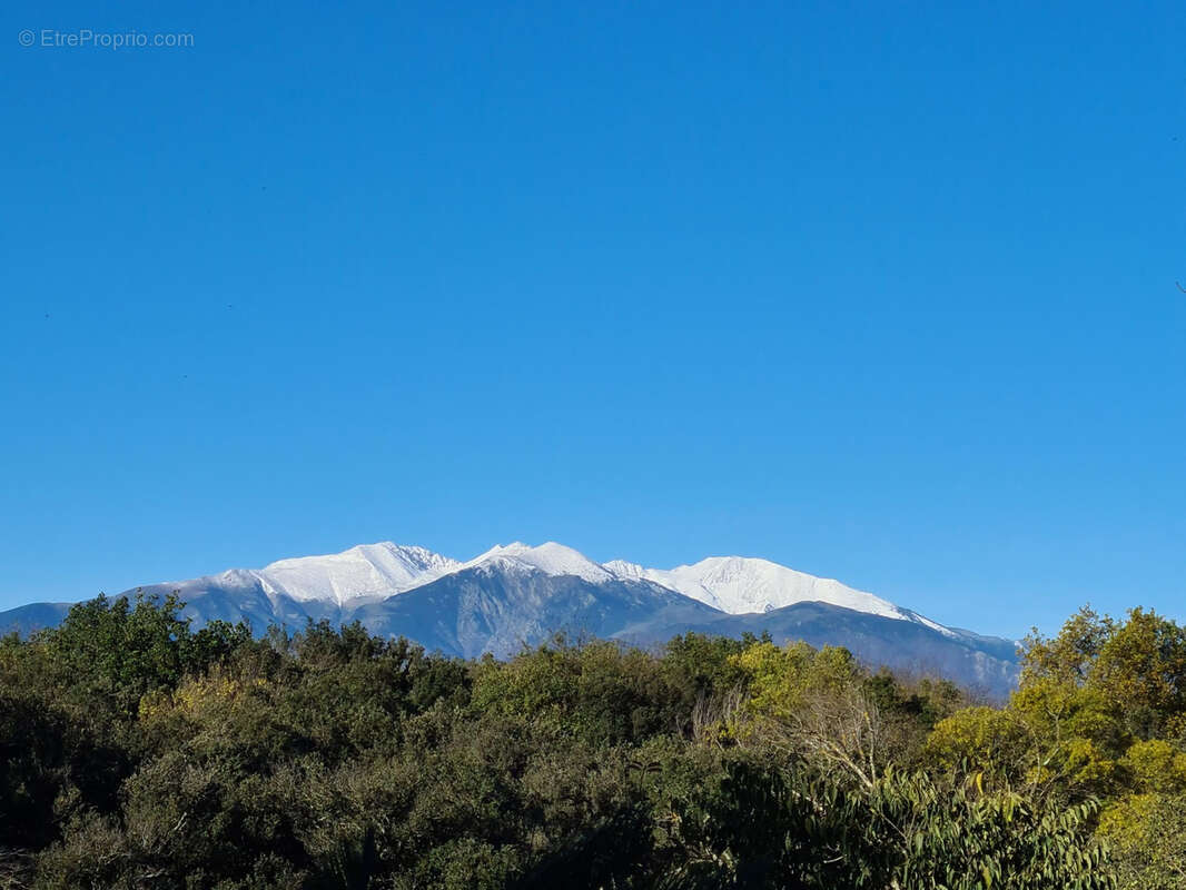 Maison à MAUREILLAS-LAS-ILLAS