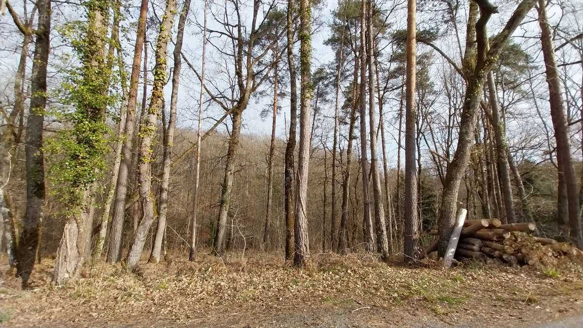 Terrain à CHANCELADE