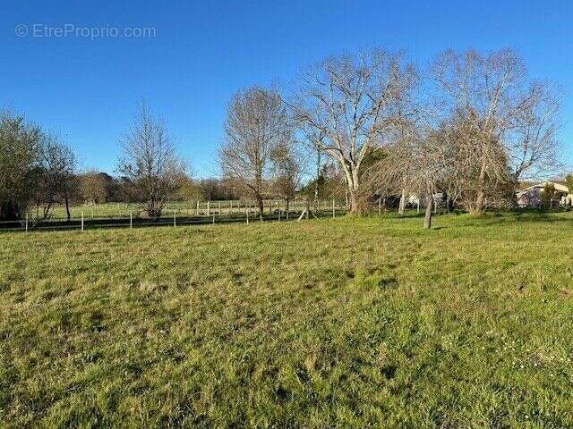 Photo 2 - Terrain à LA FORCE