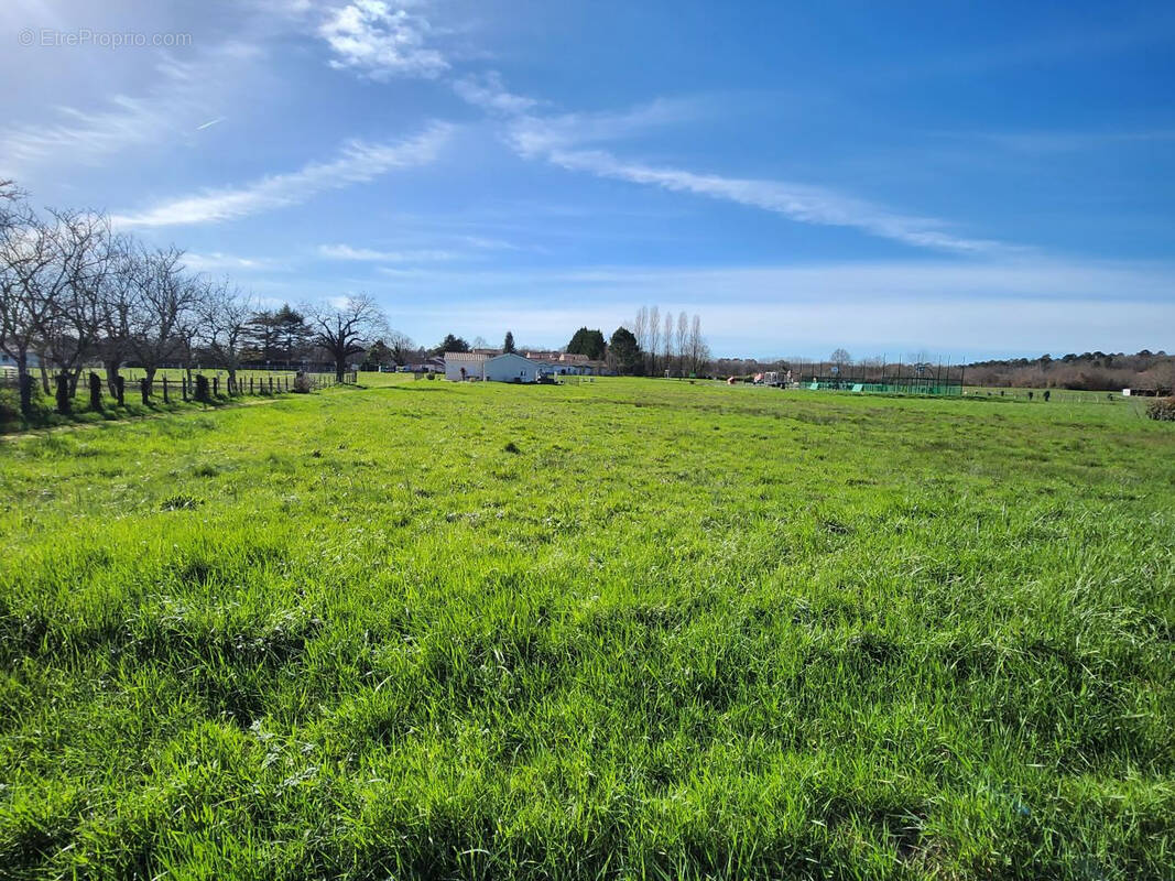 Terrain à SAINT-FRONT-DE-PRADOUX