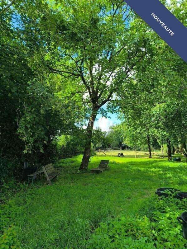 Maison à HOUVIN-HOUVIGNEUL