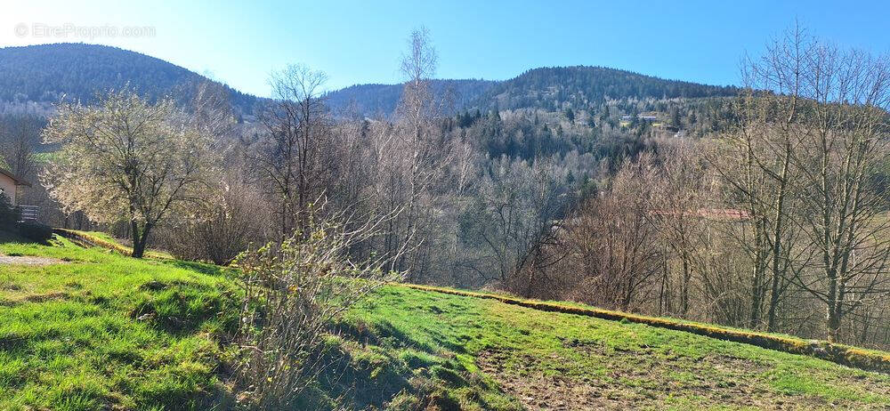 Terrain à VENTRON