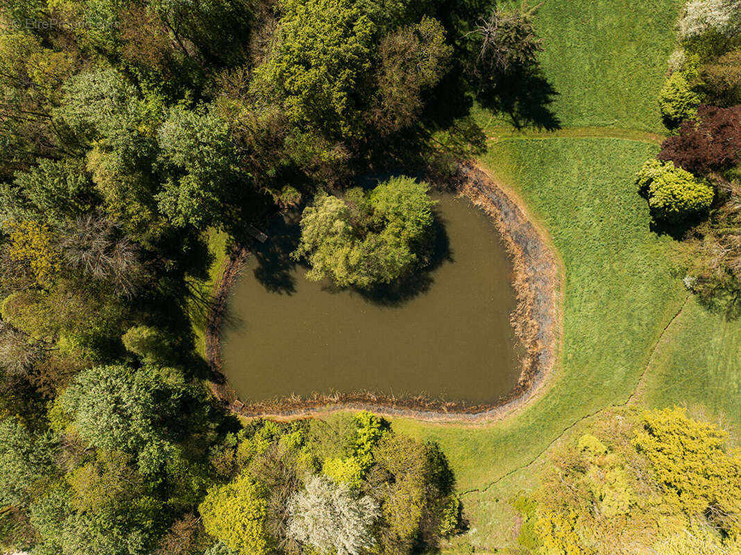 Château proche de Metz, L'élégance d'une demeure "à la française" dans un écrin de 7 hectares - photo 18