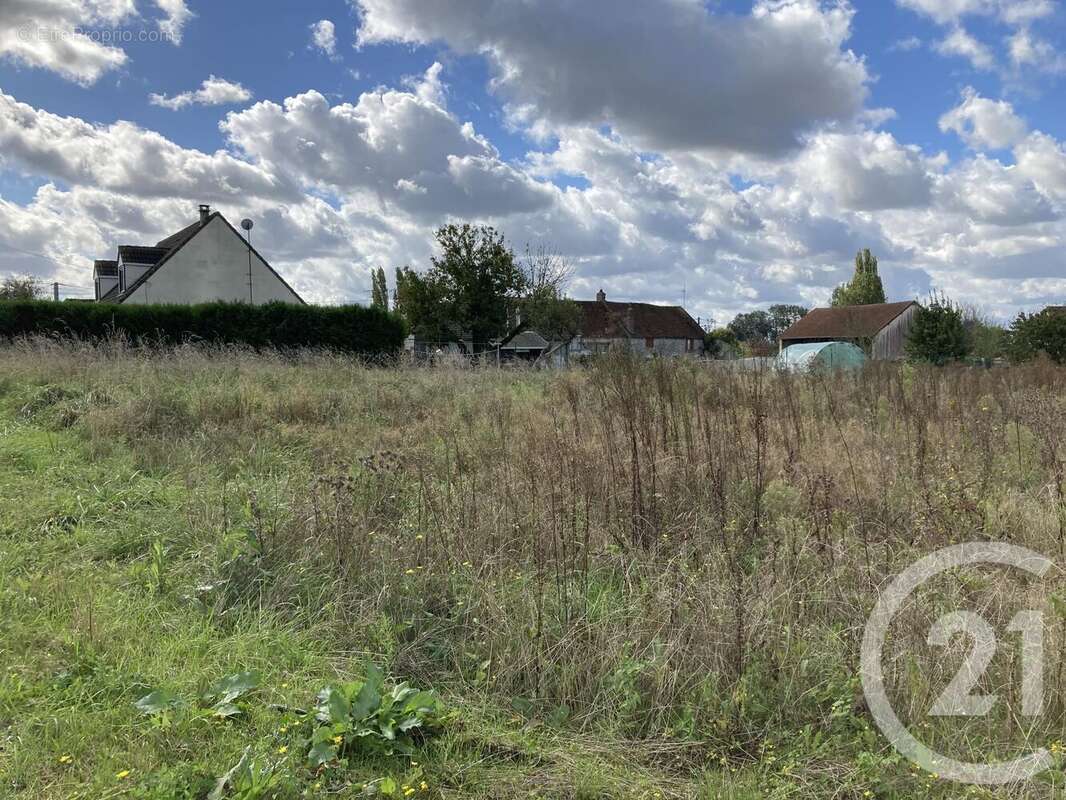 Terrain à VIEUX-CHAMPAGNE
