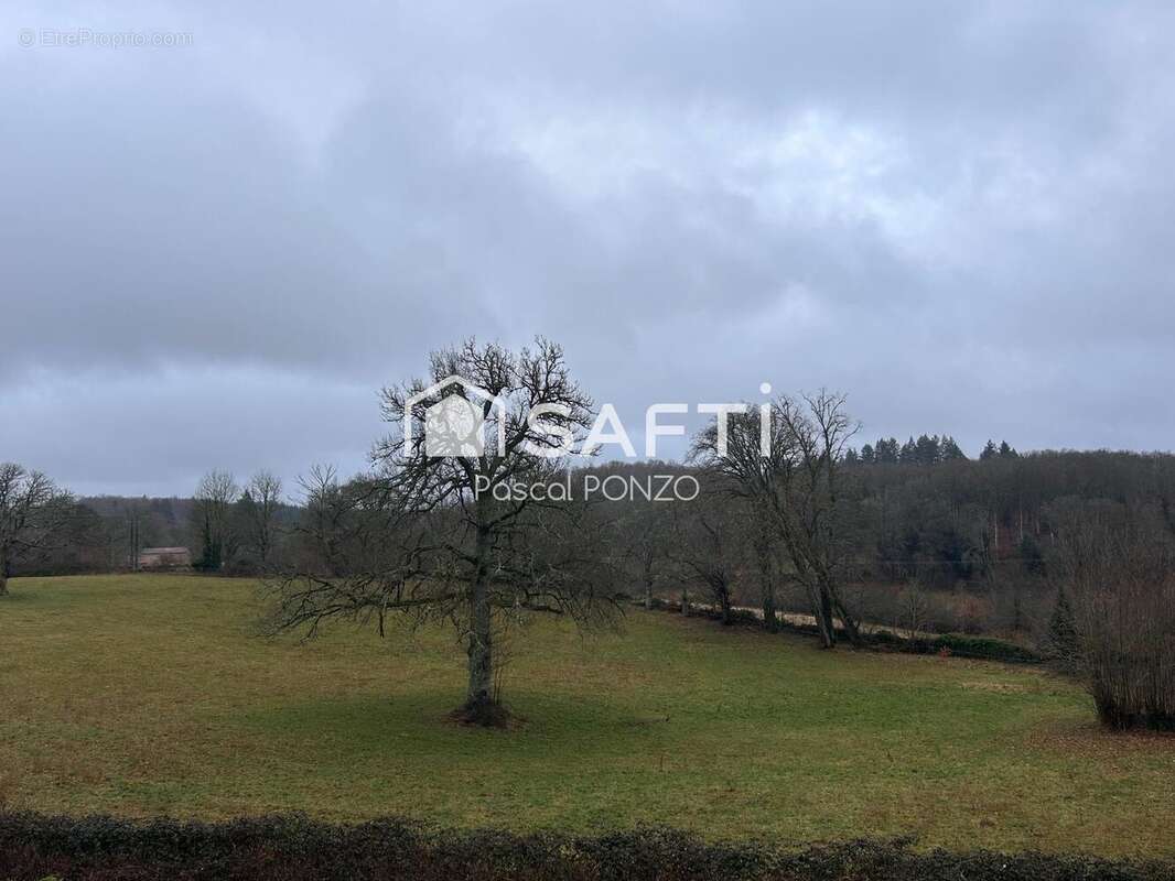 Photo 7 - Maison à SAINT-AVIT-DE-TARDES