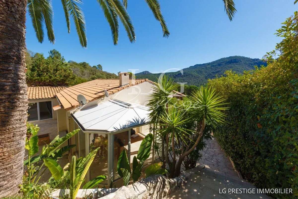 Maison à MANDELIEU-LA-NAPOULE