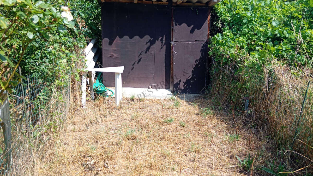 Proche village - photo 6