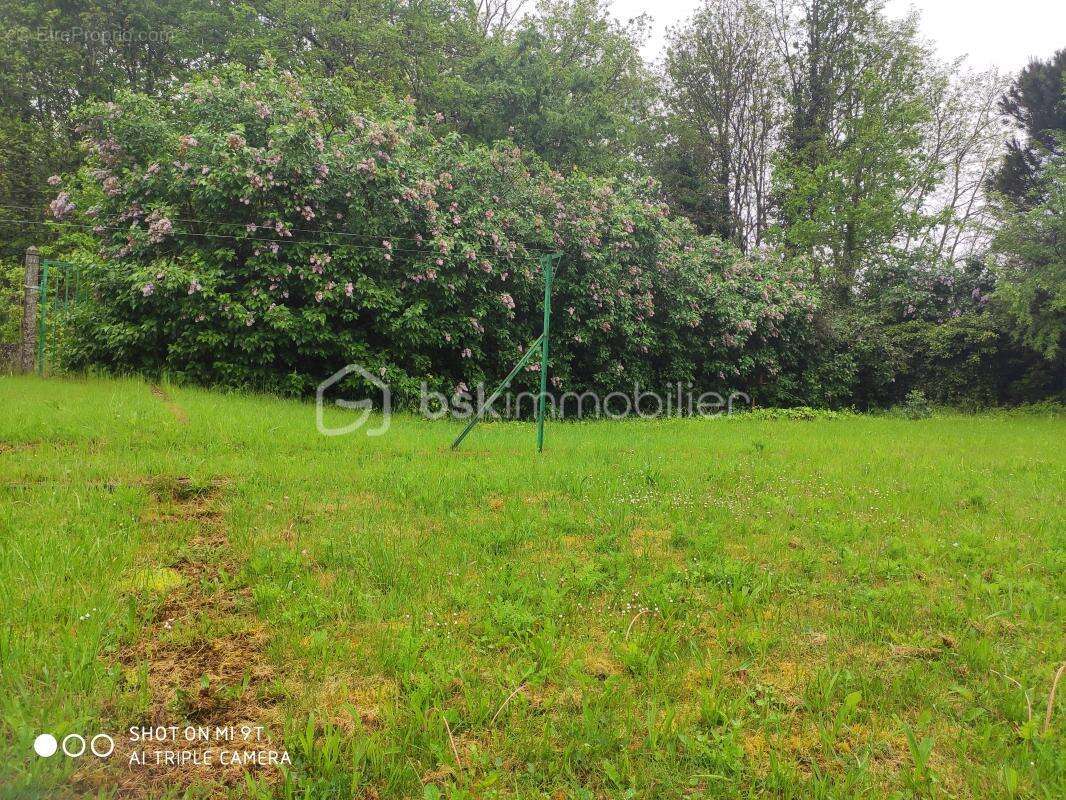 Terrain à SAINT-ARNOULT-EN-YVELINES