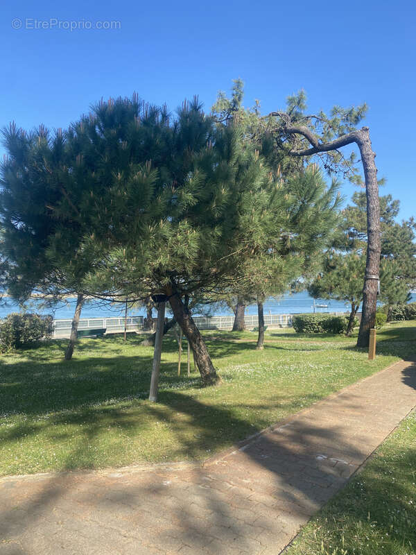 Studio au Moulleau avec accès à la plage - photo 10