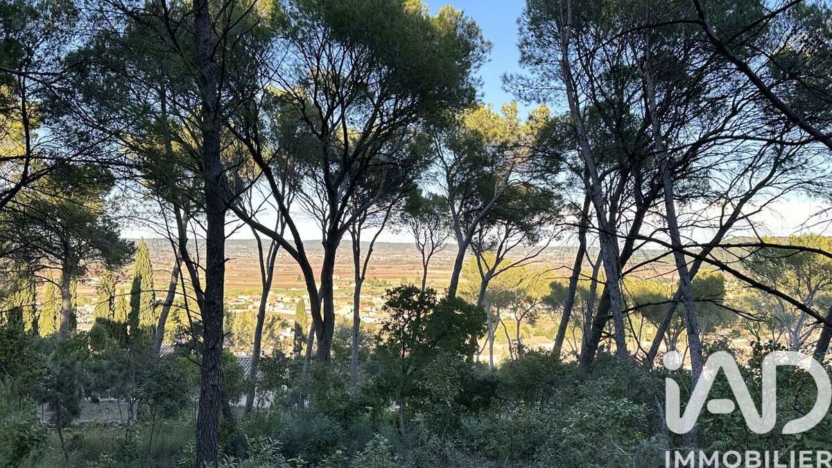Photo 2 - Terrain à CALVISSON