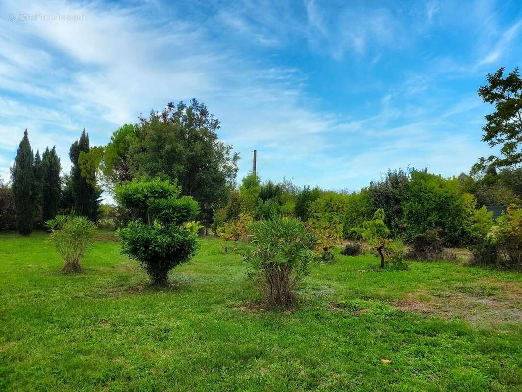 Maison à LHOSPITALET