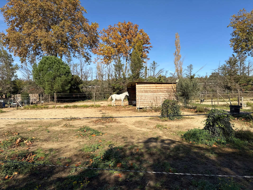 Maison à SAINT-JEAN-PLA-DE-CORTS
