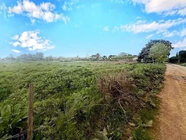 Terrain à LANSARGUES