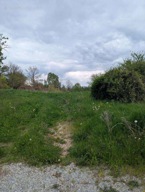 Terrain à MONTBRISON