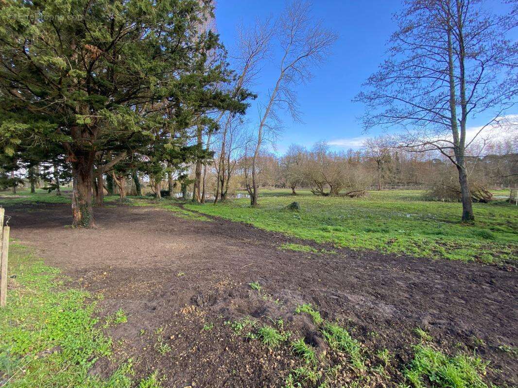 Maison à LES MATHES