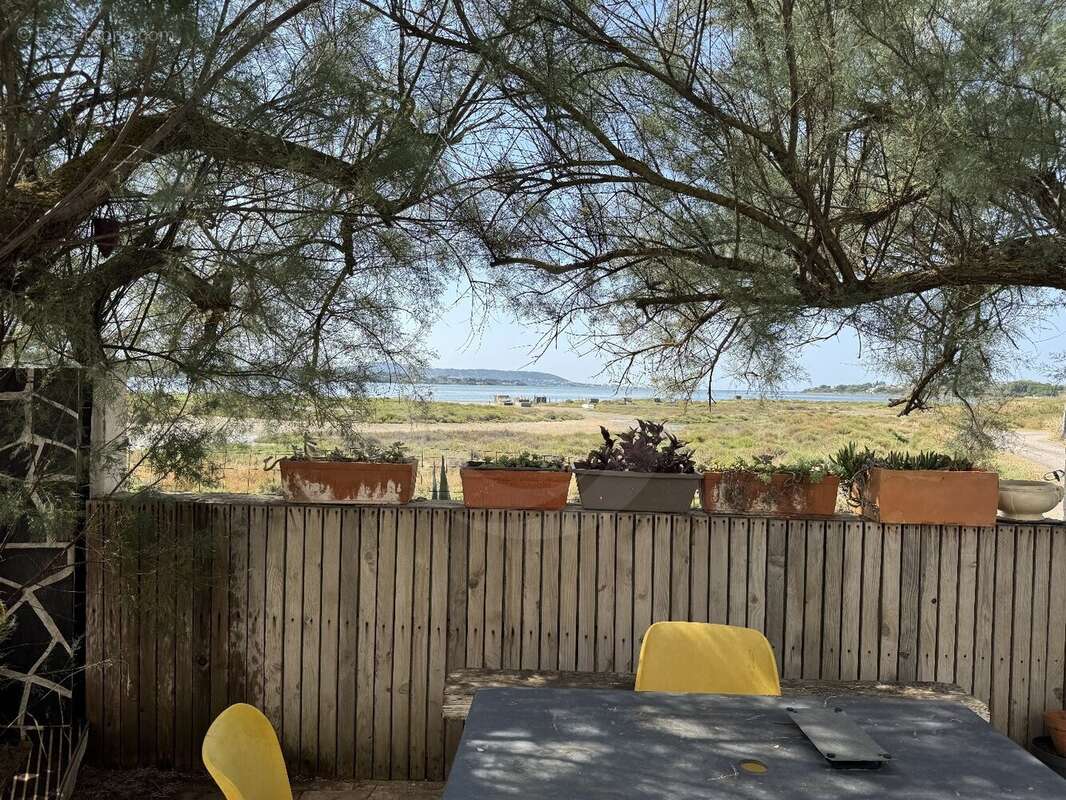Un petit paradis rare au bord de l'étang de thau - photo 13