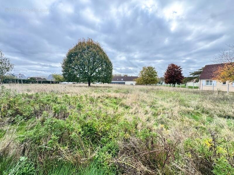Terrain à AUBIGNE-RACAN