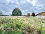 Terrain à AUBIGNE-RACAN