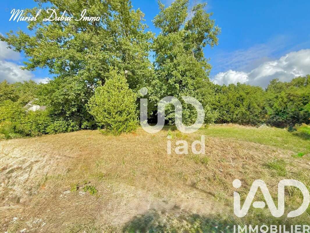 Photo 3 - Terrain à BREUILLET