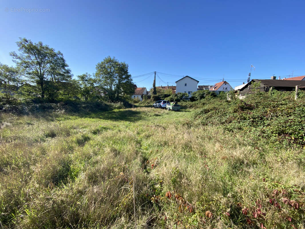 Terrain à SOUFFLENHEIM