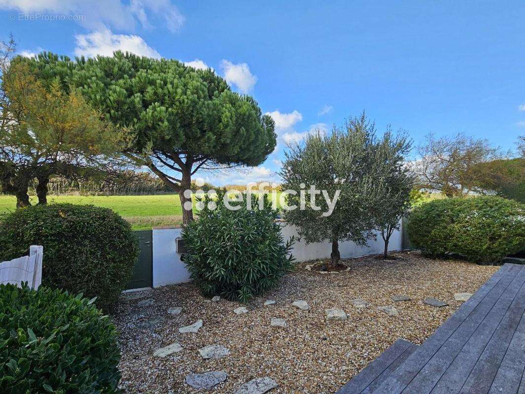 Maison à SAINT-MARTIN-DE-RE