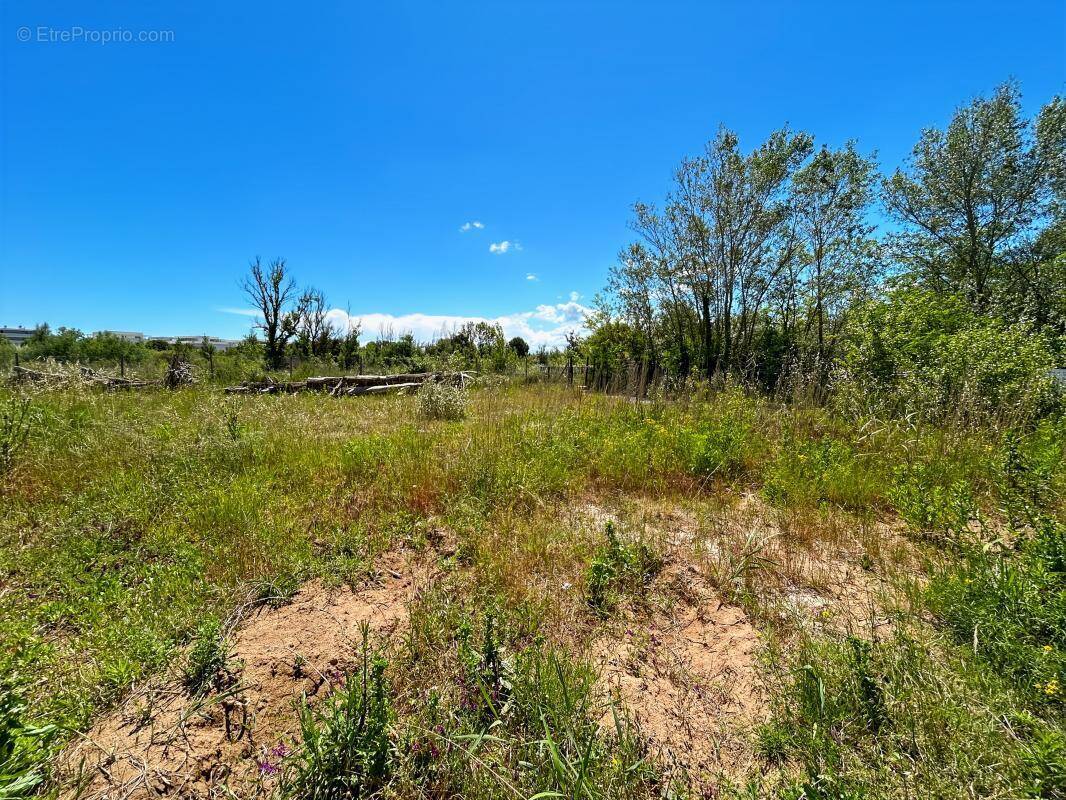 Terrain à SERIGNAN