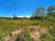 Terrain à SERIGNAN
