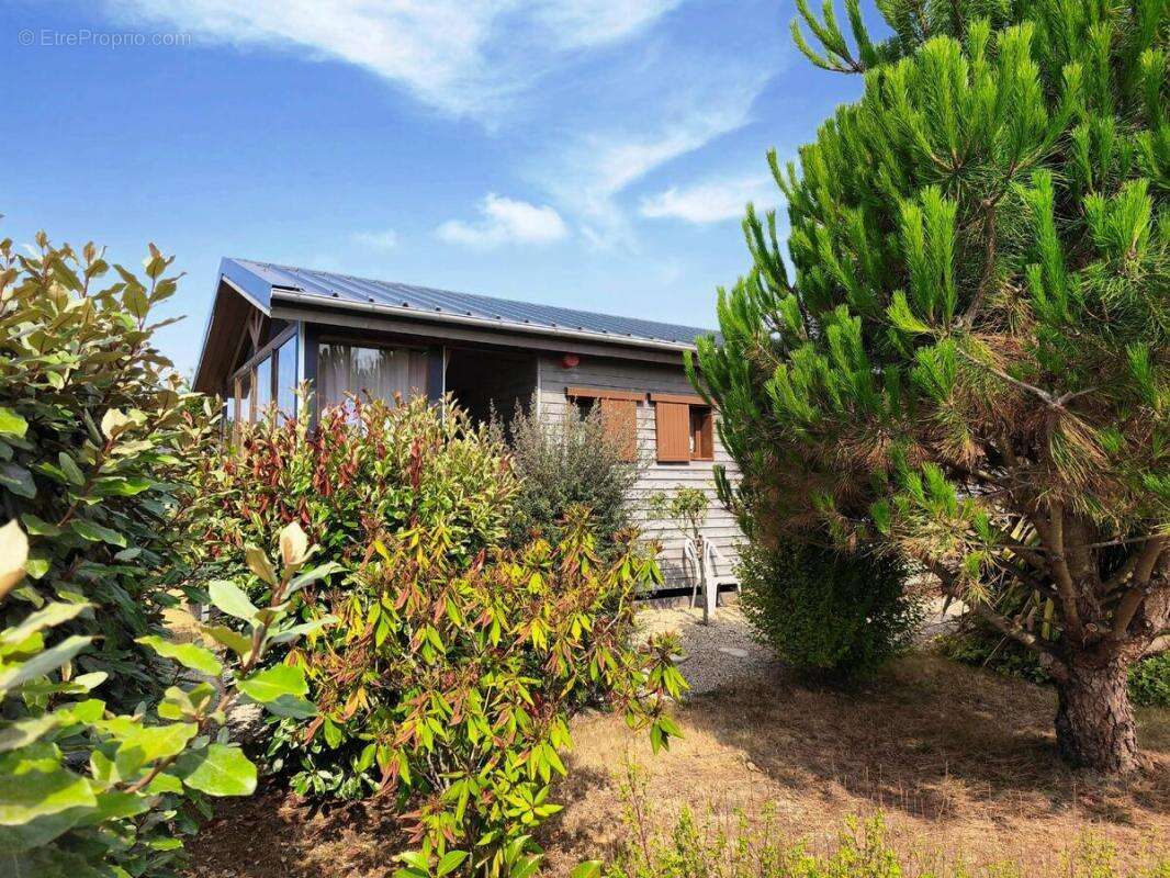 Maison 44 m² à Marzan  - photo 3