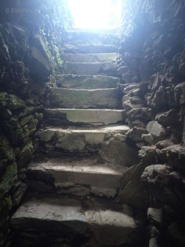 Photo 8 - Maison à VABRE