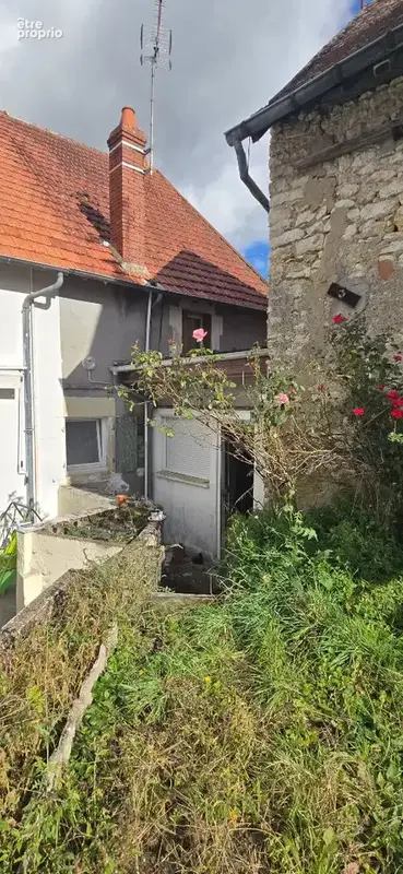 COSNE COURS SUR LOIRE : Maison de ville avec jardin - photo 16
