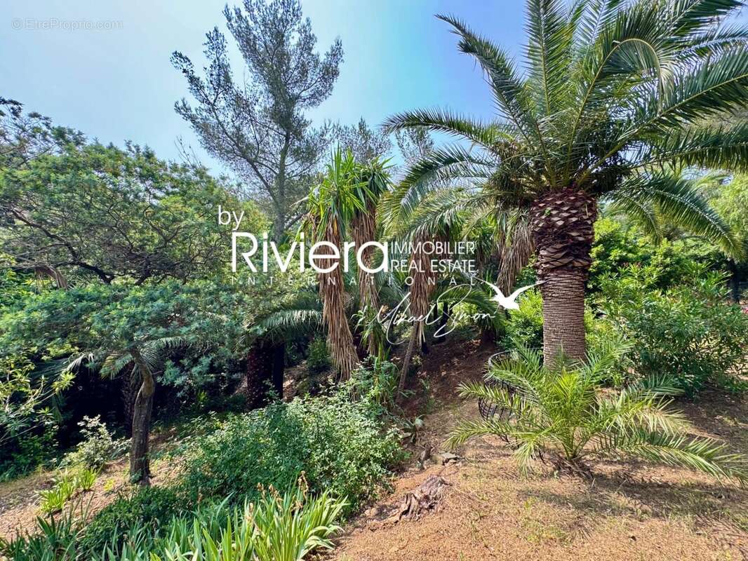 Maison à LA CROIX-VALMER