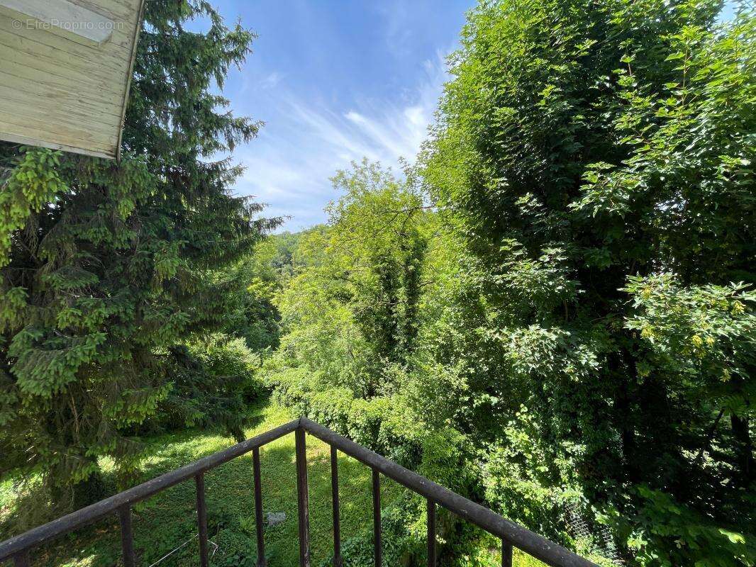Bâtisse  à vendre alby sur cheran - photo 13