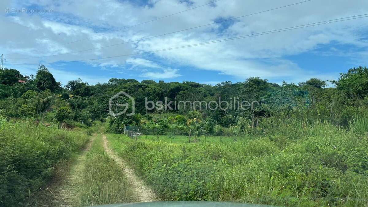 Terrain à REMIRE-MONTJOLY