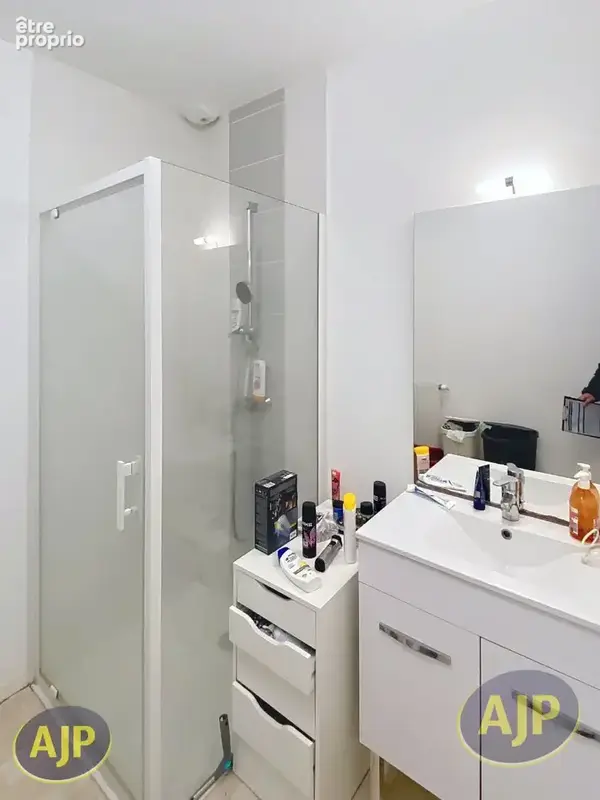 Appartement t2 st joseph de porterie - photo 4