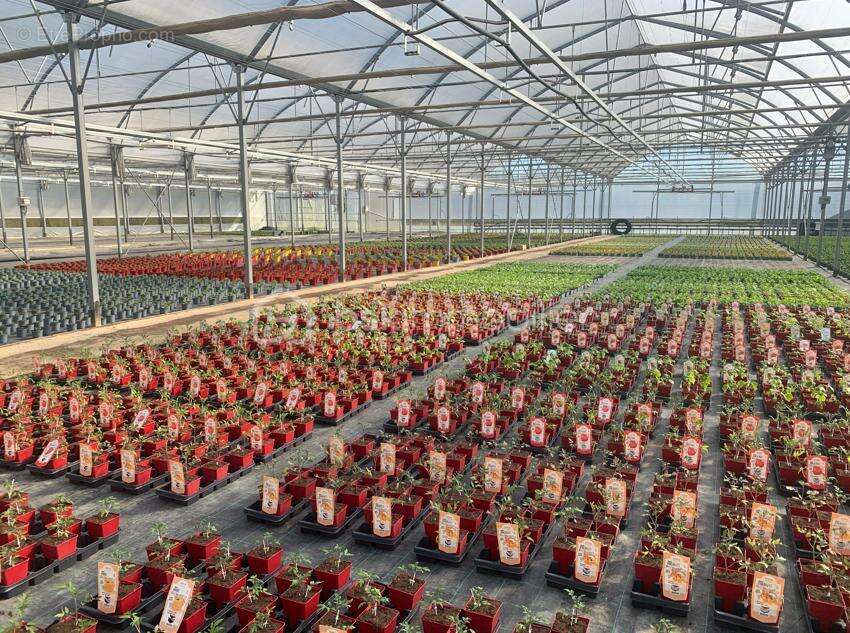 Proche Nogaro - Propriété Horticole de 3ha avec habitation - photo 2