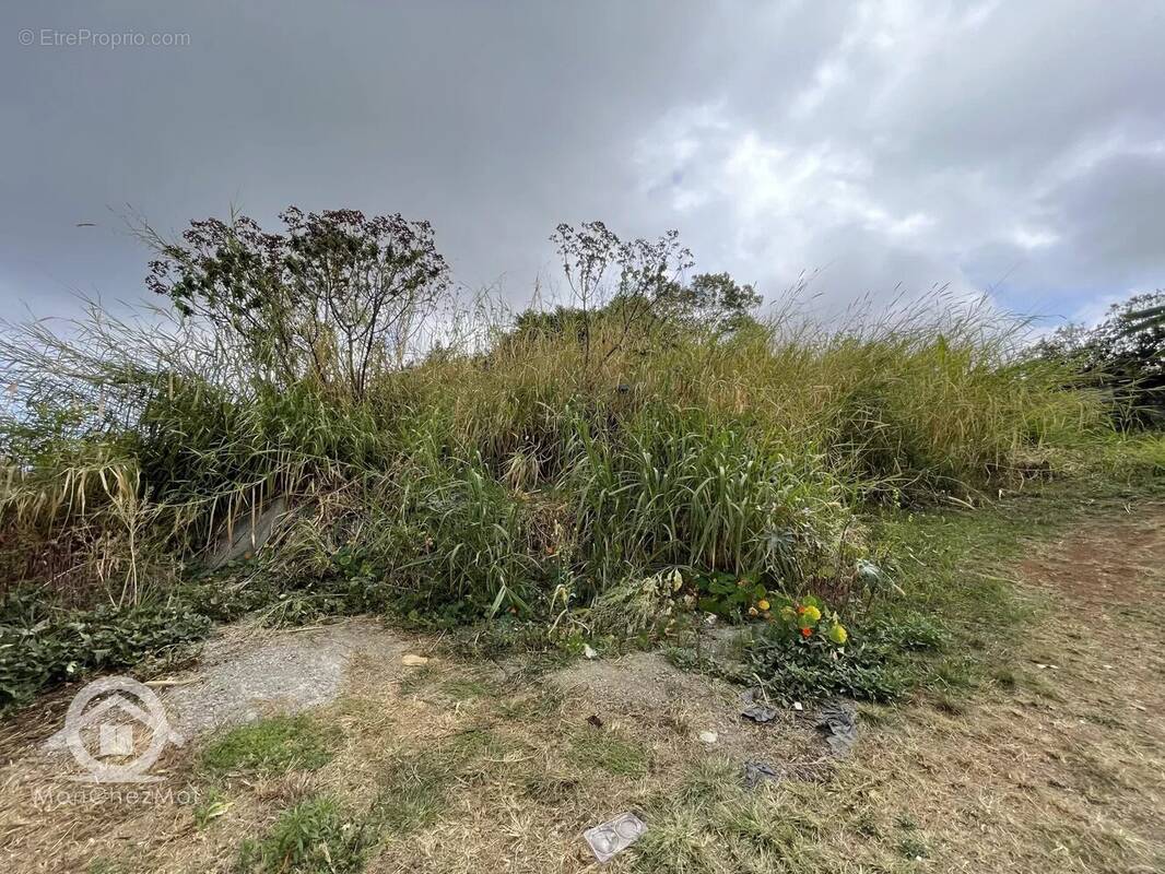 Terrain à LES TROIS-BASSINS