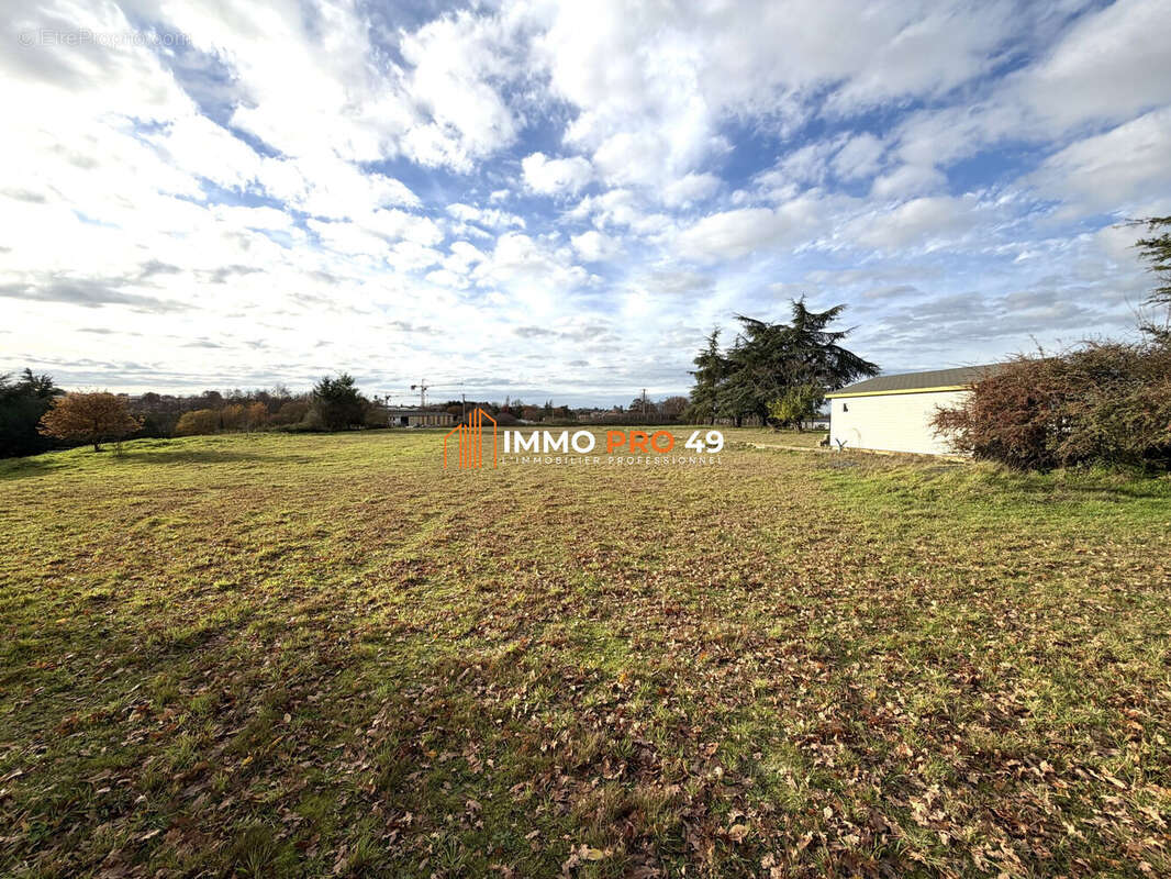 Terrain à LA ROMAGNE