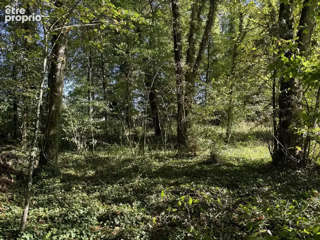 FORET-CHENU (SAINT-PHAL) - Terrain à bâtir de 5430m2 - photo 4