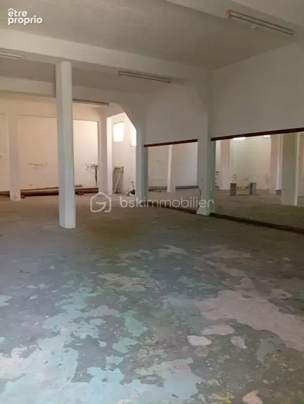 Ensemble immobilier aux multiples possibilités - photo 8