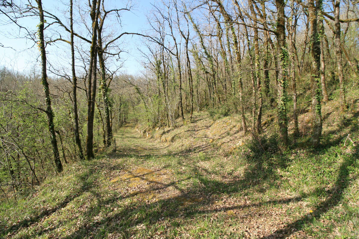  Maison vallée Dordogne - photo 15