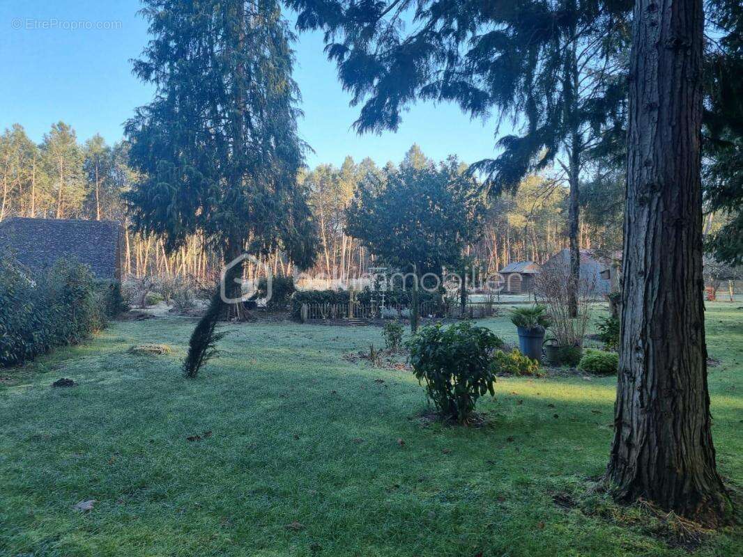 Maison à ARDENAY-SUR-MERIZE