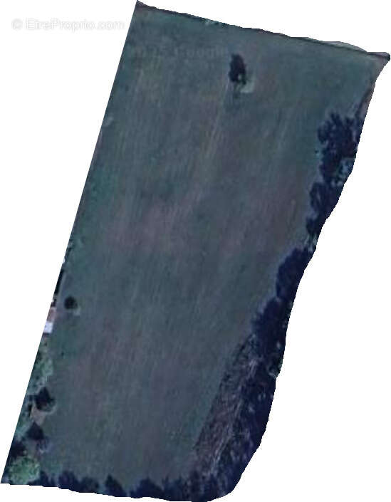 Terrain à SAINT-SAUVEUR-DE-PUYNORMAND