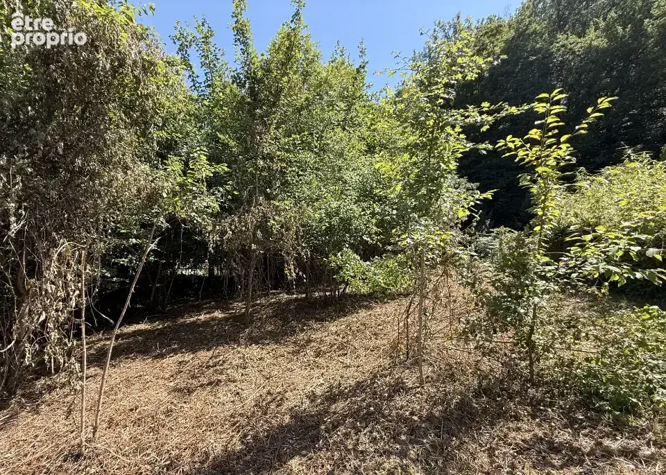 Terrain 1 859 m² à vendre à Soreze (81540) - photo 3