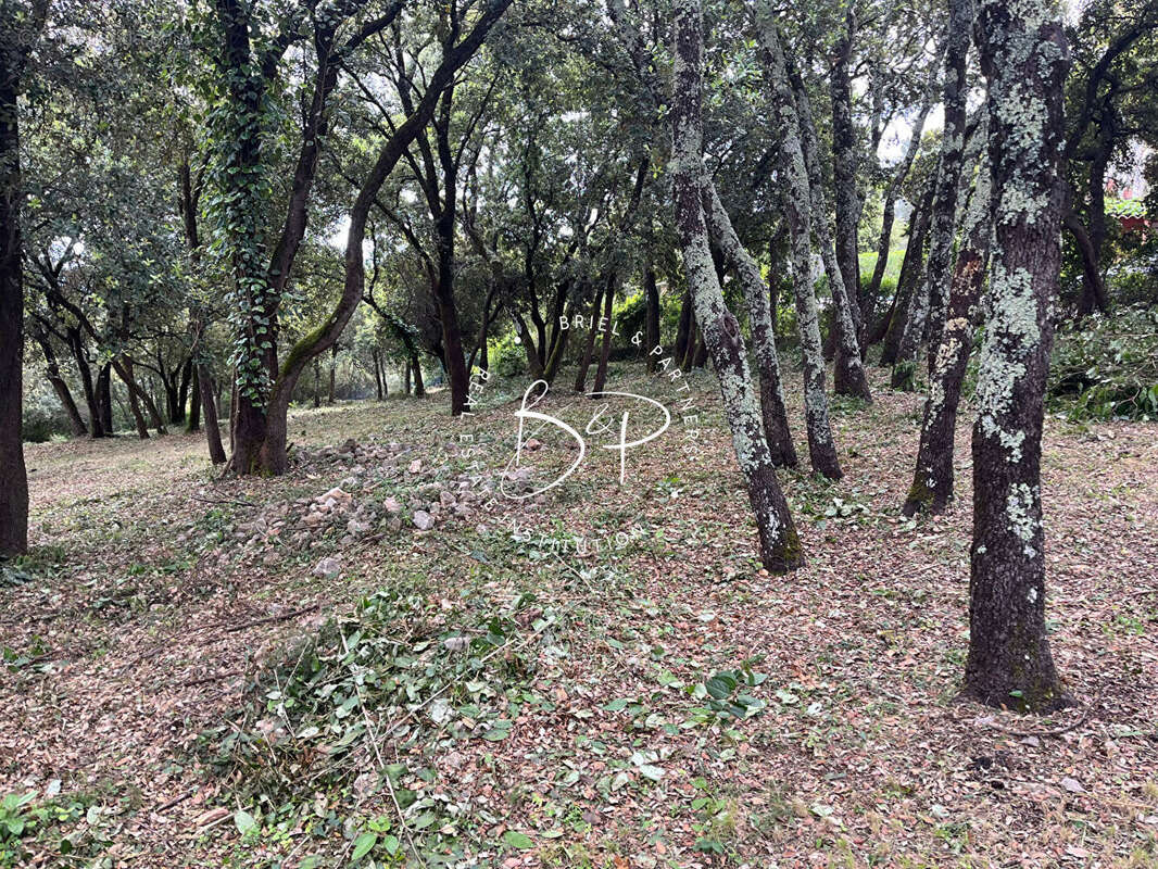 Terrain à LE THORONET