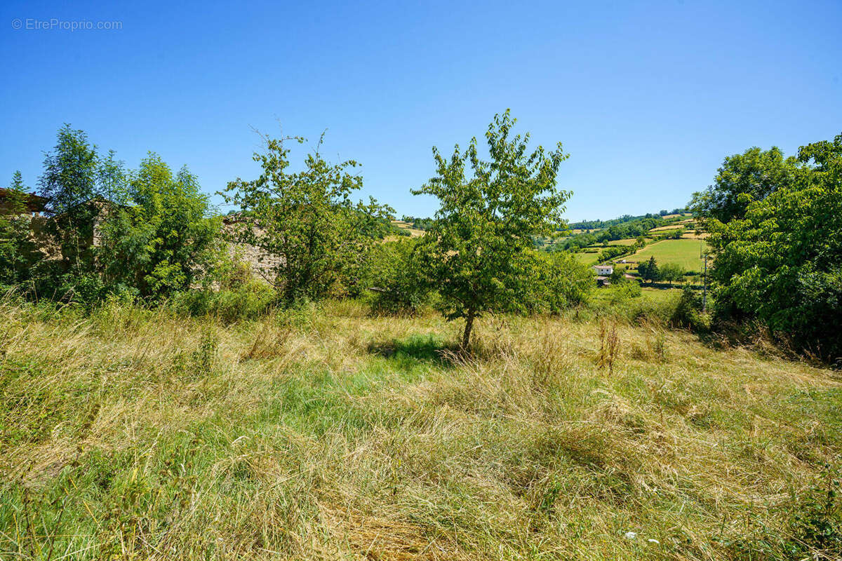 Maison Saint-pierre-le-Vieux 4 pièces 117 m2 + dépendances - photo 4