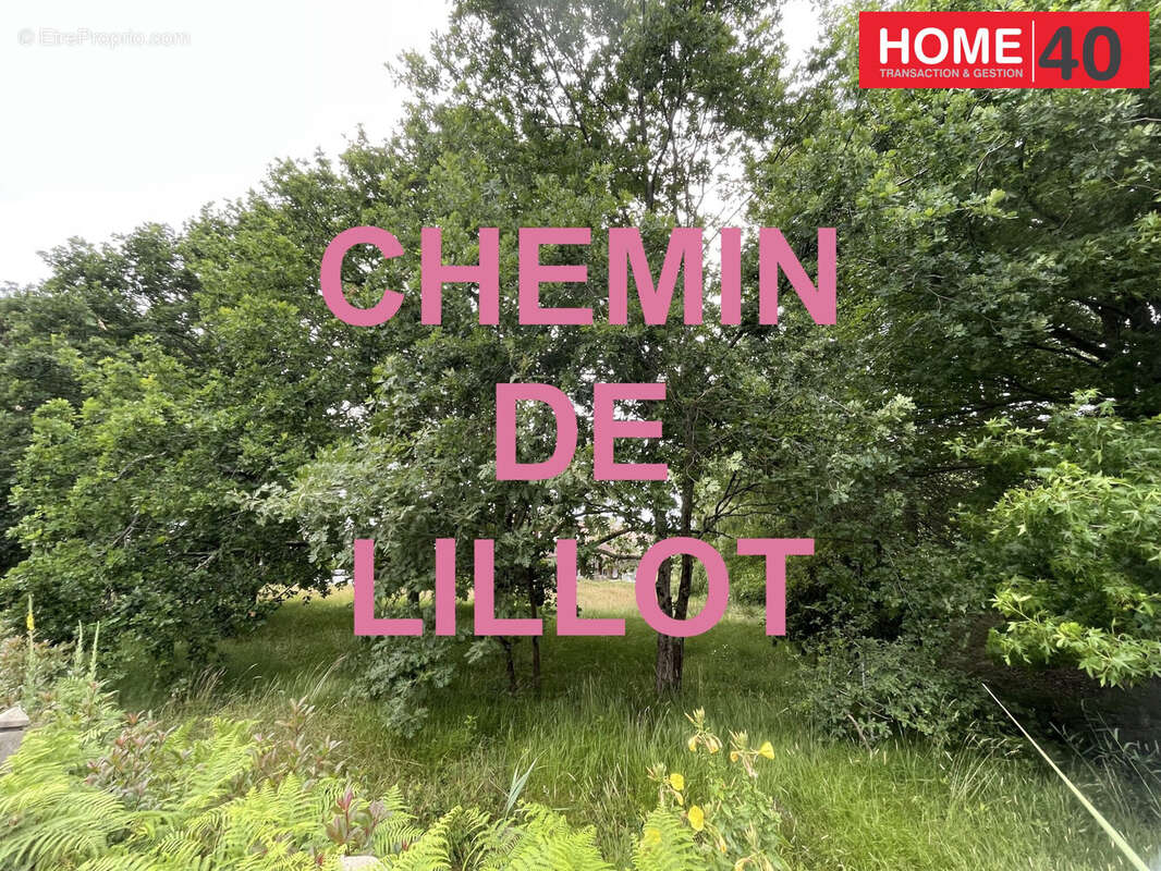 Appartement à SANGUINET