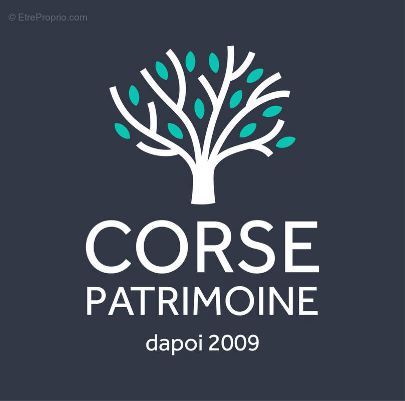 Commerce à SARTENE